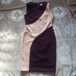 Calvin Klein Fitted Dress